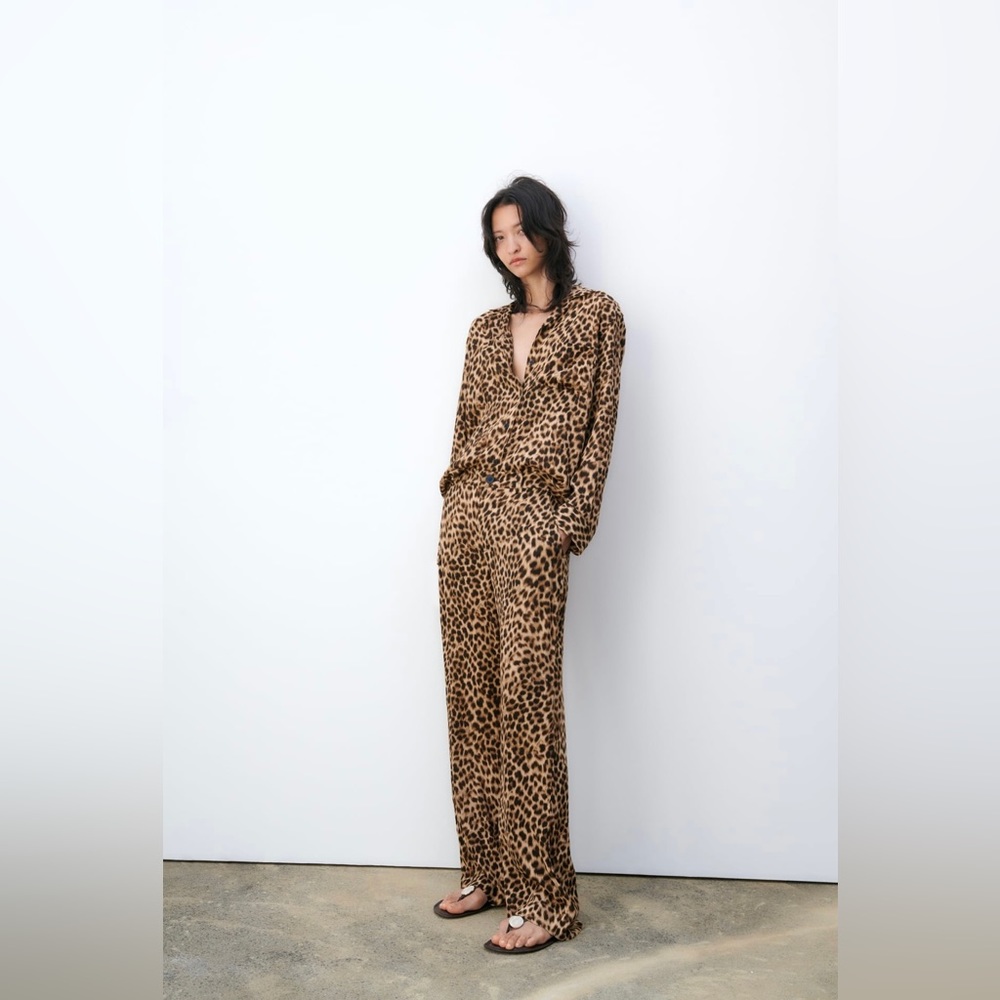 Zara animal print matching set